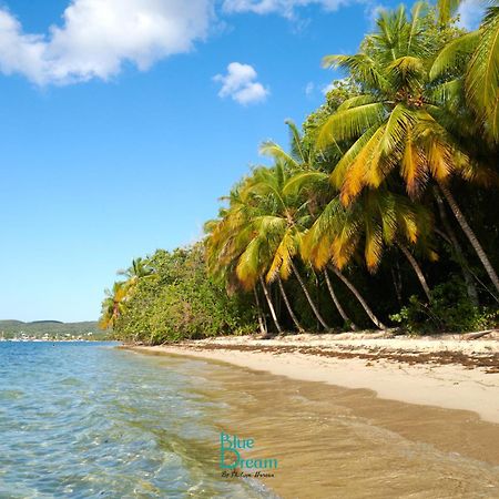 Kawan Nid - Tout Confort, Plage A 2 Min A Pied, Piscine, Wifi, Climatisation Grand-Bourg  Eksteriør billede