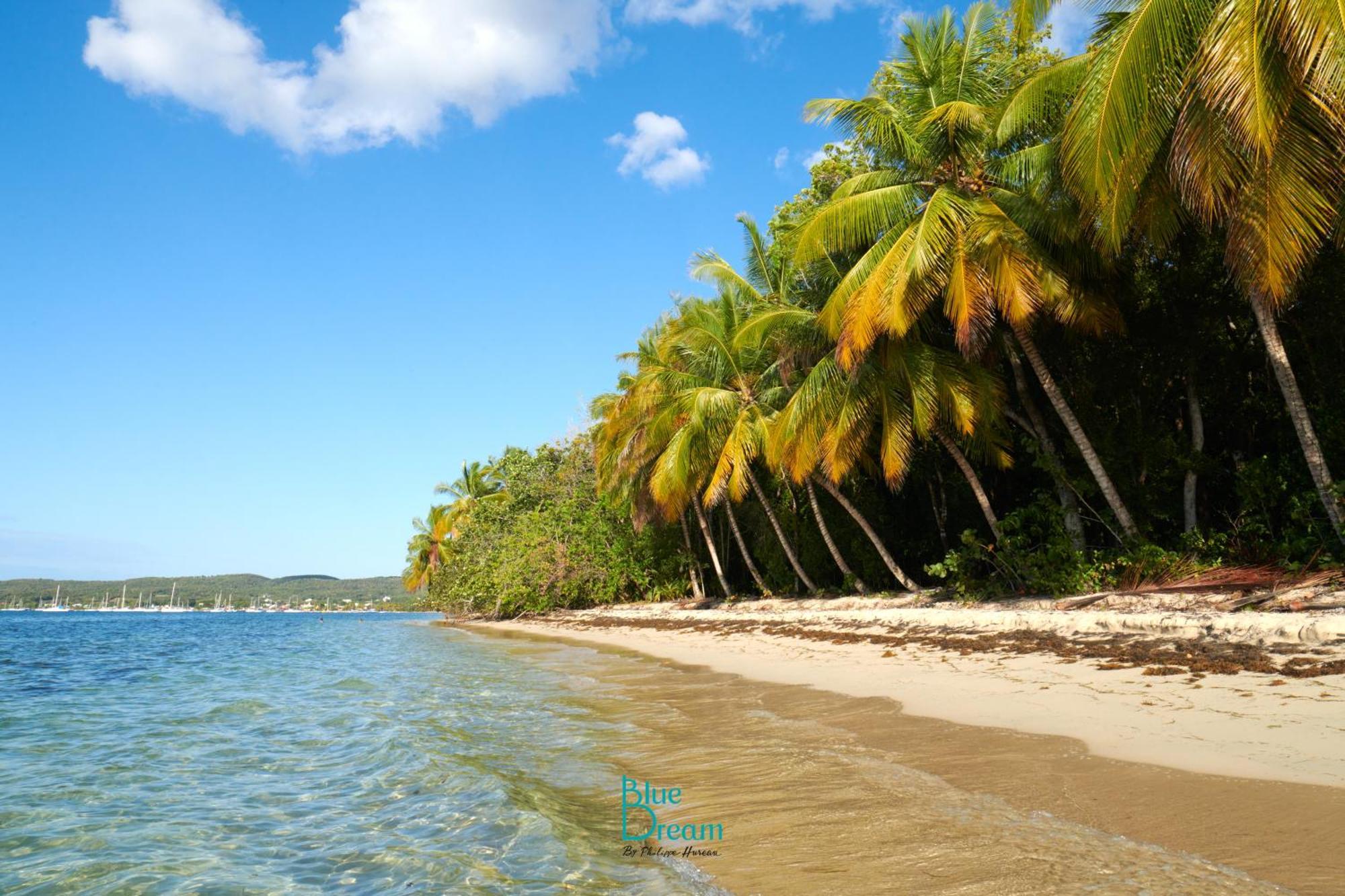 Kawan Nid - Tout Confort, Plage A 2 Min A Pied, Piscine, Wifi, Climatisation Grand-Bourg  Eksteriør billede
